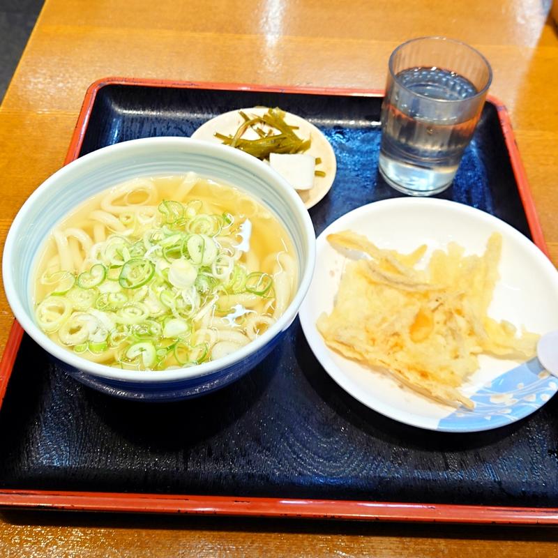 かけうどん(手打の味小泉 苅田店)