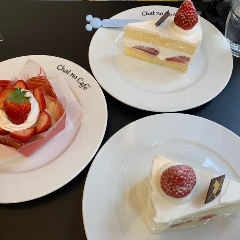 (Chat Noir 松井山手)