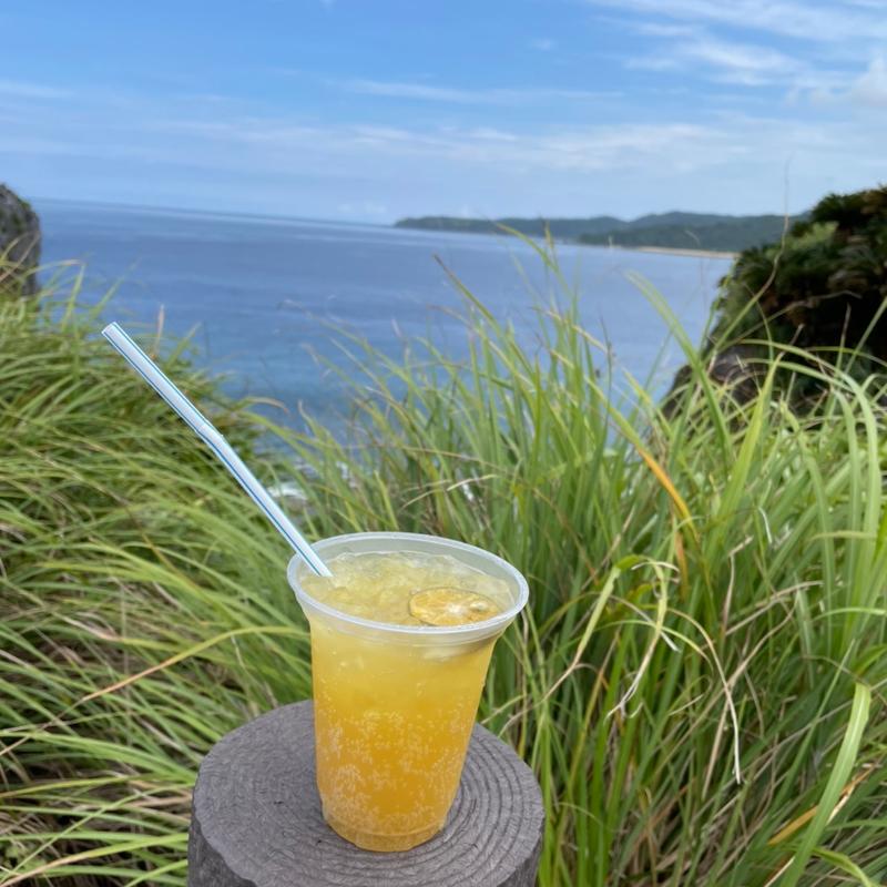 シークァーサースカッシュ(辺戸岬こうようパーラー )