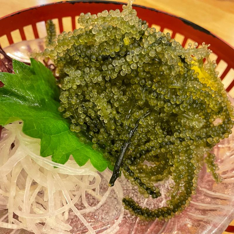 海ぶどう(風月寿司処 )