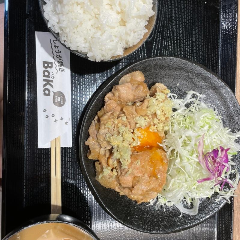 にんにくパンチ！おすすめ盛(しょうが焼き Baka)