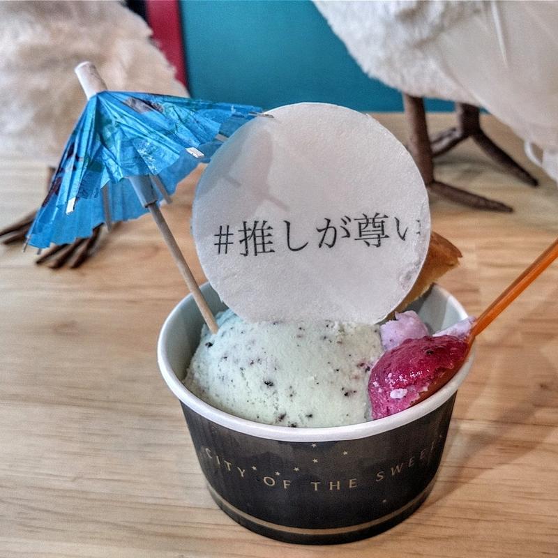 ジェラート シングル　チョコミント(solea)