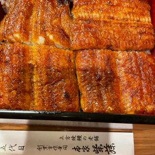 大阪まむし(本家柴藤)