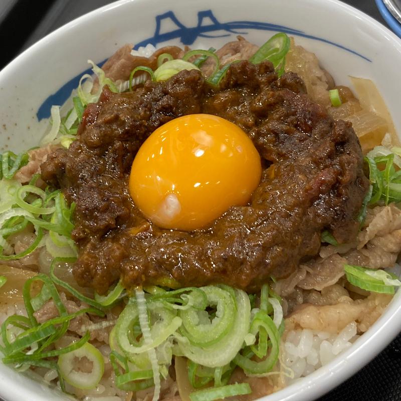 スパイシーキーマ牛めし(松屋 小田急永山店 )