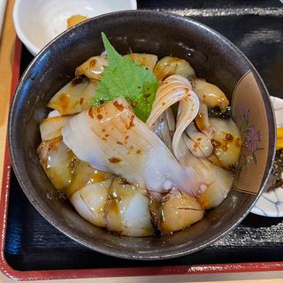 イカの刺身丼(白扇 （ハクセン）)