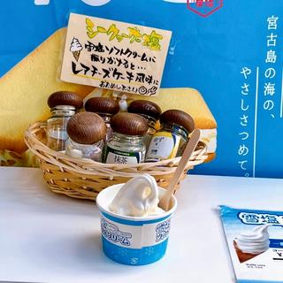 雪塩ソフトクリーム(宮古島の雪塩 国際通り店 （【旧店名】雪塩菓房）)