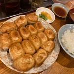 餃子16個セット(ファイト餃子)