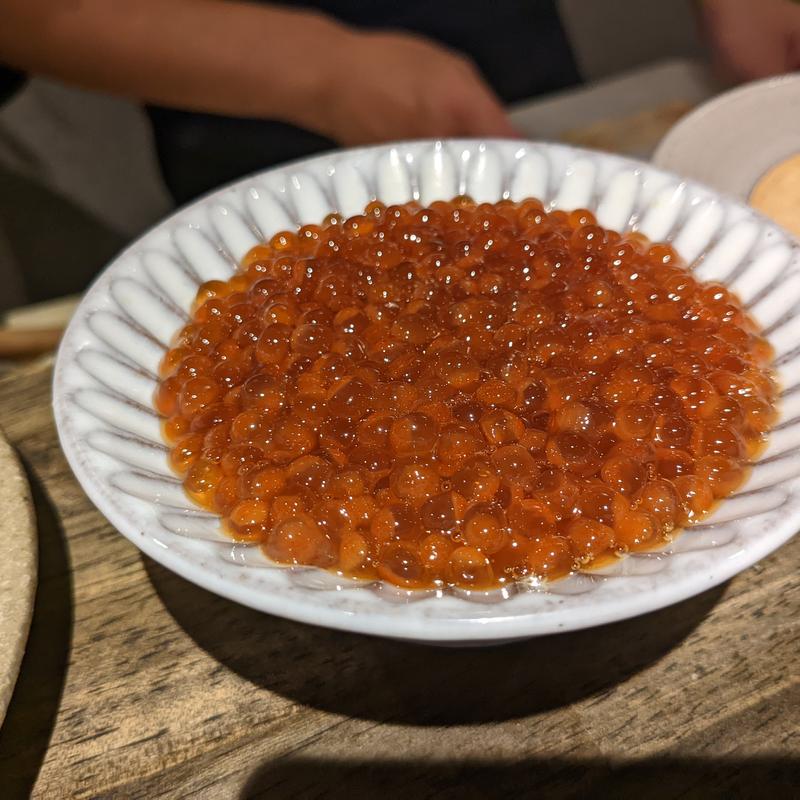 新イクラ(松陰鶴水)