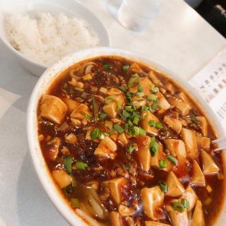 麻婆麺(銀座ヤンヤン)