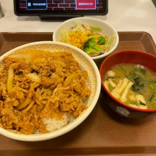 牛丼+サラダセット(すき家 城陽久世店 )