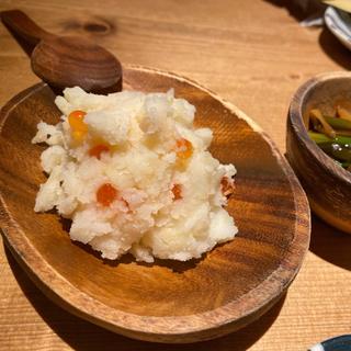 チポロイモ(ハルコロ )