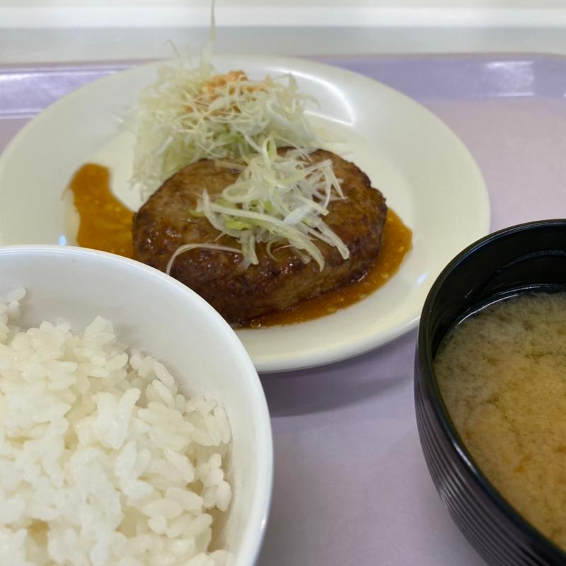 油淋ハンバーグ(ビッグスカイ)