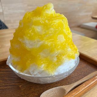 マンゴー氷(おちゃのこ （御茶乃子）)