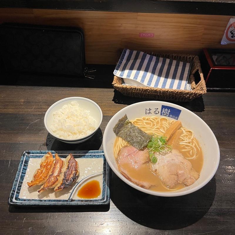 豚と魚の白湯そば＆ランチAセット(はる樹)