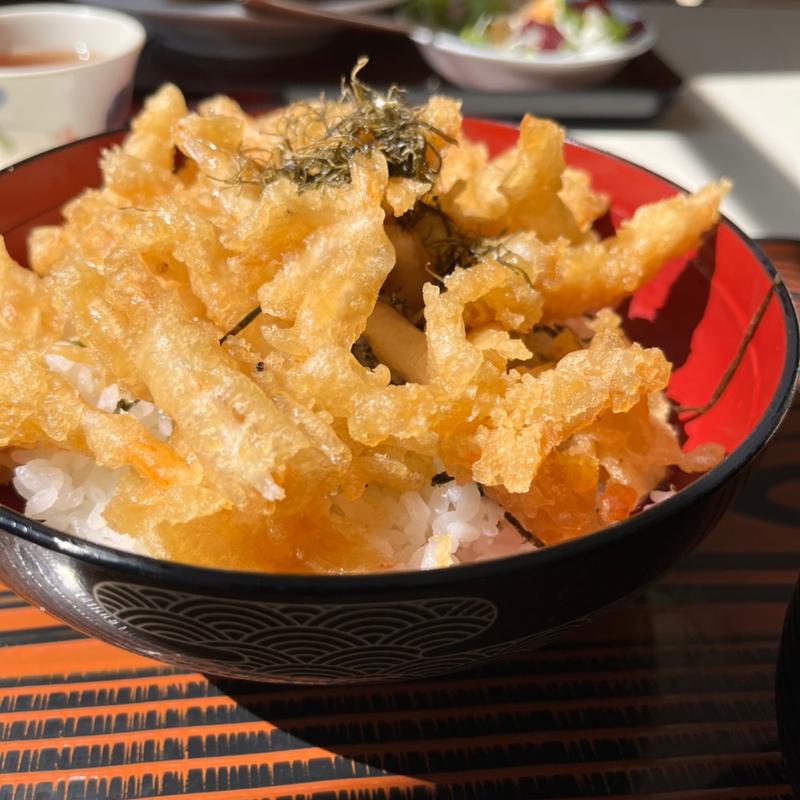 白海老の唐揚丼(ホテル立山 )