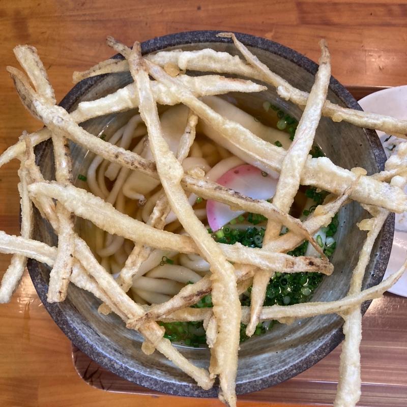 ごぼう天うどん(招福うどん)