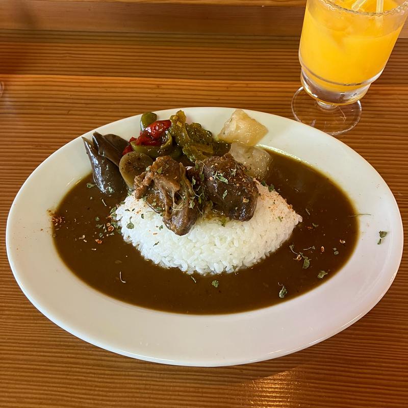 シシカレーA(大三島地猪肉シシカレー)