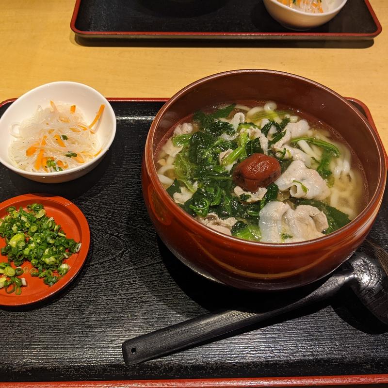 梅豚うどん(釜揚げうどん はつとみ)