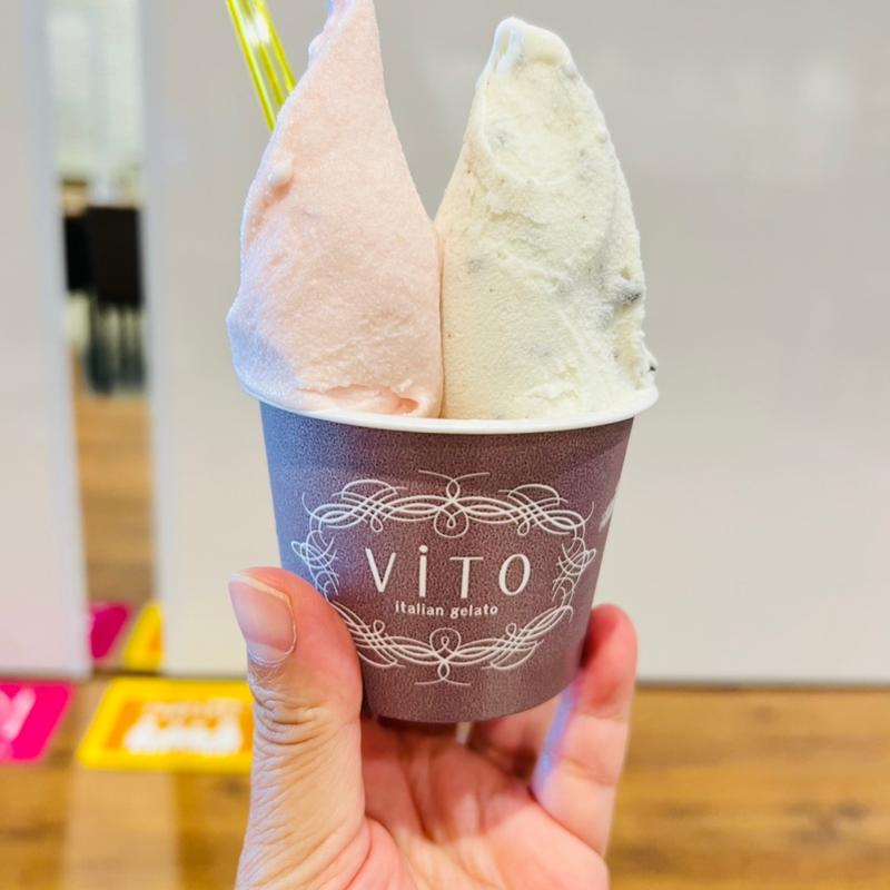 ダブルカップ(ViTO)