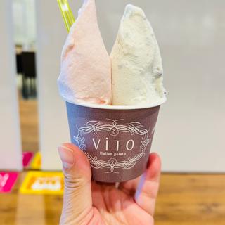 ダブルカップ(ViTO)