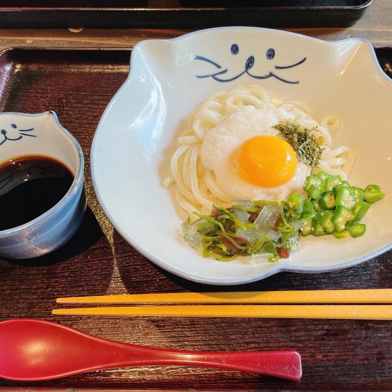 ねばとろぶっかけうどん(のらや 国分寺店)