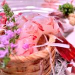 ぶどうエビ(すし哲 （すしてつ）)