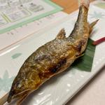 天然鮎の塩焼き(すぎ山 )