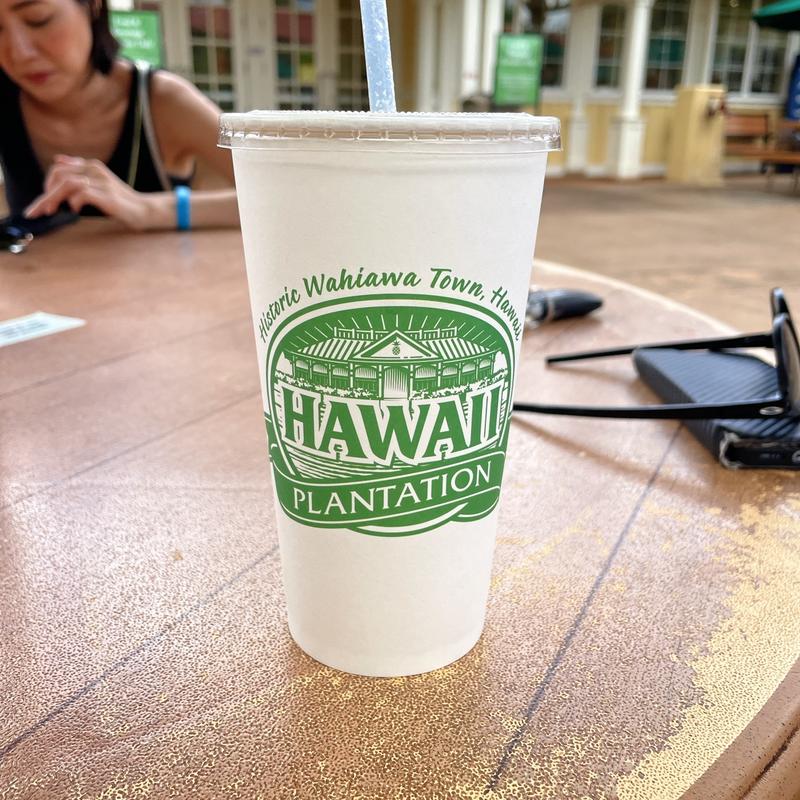 パイナップルジュース（M）(ドールプランテーション)