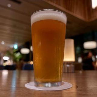 ブルーノート東京SESSION IPA(浜町ダイニングバー SESSiON)