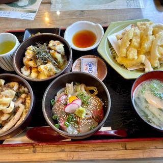 イカ三昧丼とイカの天ぷら単品追加(うめのは )