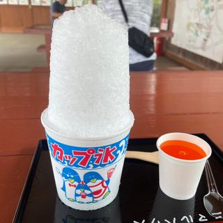 かき氷大(うだ・アニマルパーク 売店 )