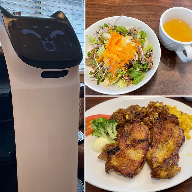 タンドリーチキン＆メキシカンピラフ＋ジョナサンサラダ(ジョナサン 習志野台店)