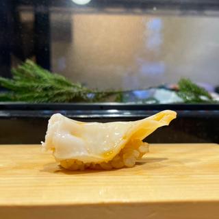 イシカゲ貝(鮨屋とんぼ 栄店)