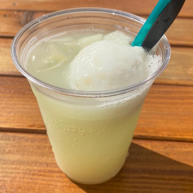 もりやま梨ソーダフロート(琵琶湖もりやまフルーツランド)