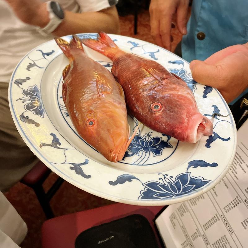 FRESH ISLAND KUMU(Fook Yuen Seafood Restaurant)