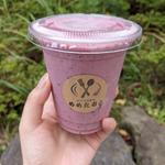 季節のスムージー(キッチン めめたおる)