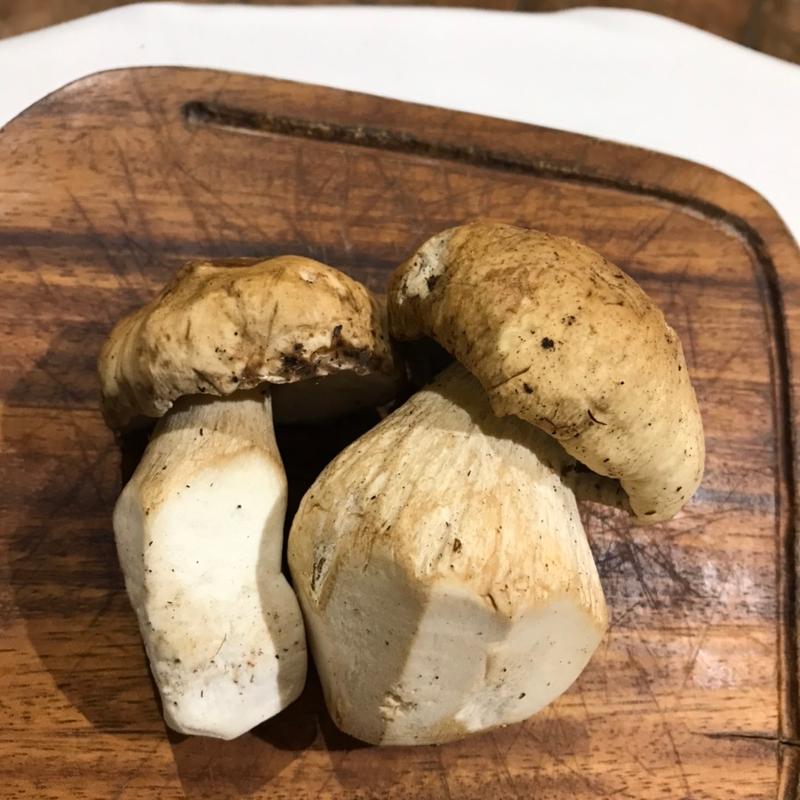 フレッシュポルチーニのソテー(リストランテ　モトムラ)