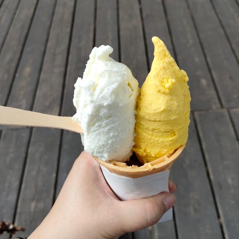 ジェラート(松ぼっくり)