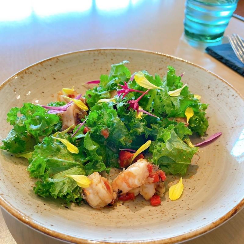 TUBAKI(Indigo Home Kitchen Yamateras)