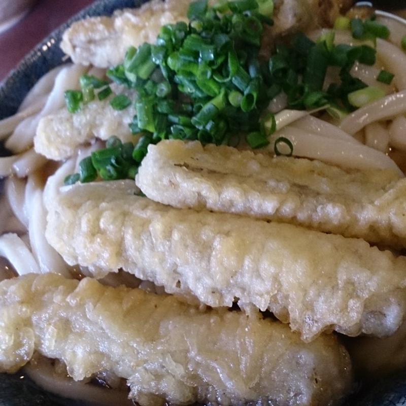 ごぼう天うどん(錦うどん 三六店)