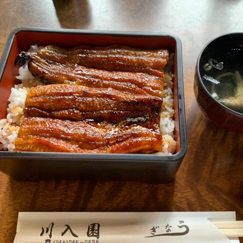 鰻重(うなぎ 川入園)