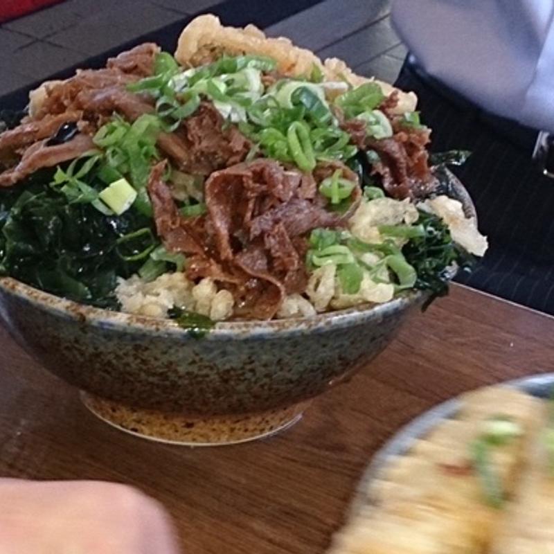 肉うどん（ごぼう2本追加）(更新うどん)