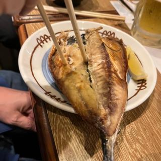 コース(築地食堂源ちゃん 晴海トリトン店)