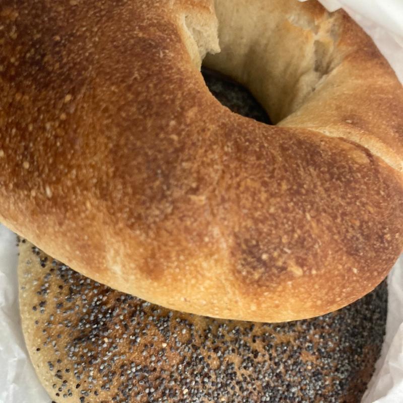 ビアリー(プレーン)(カイソ)