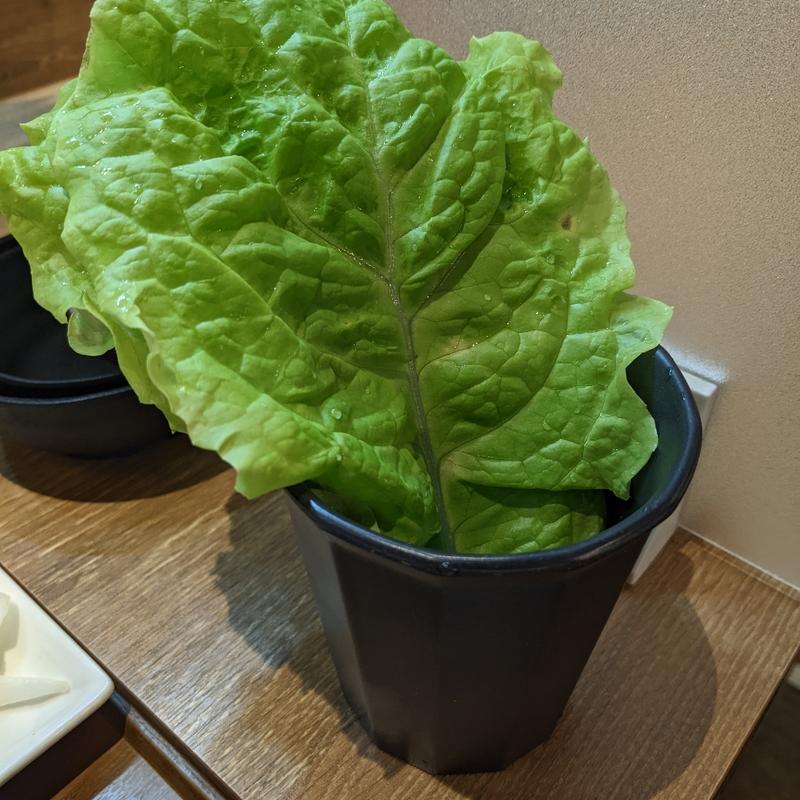 サンチュ(焼肉ライク 神保町店)