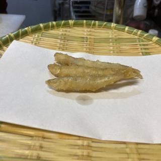 (はせ川 )