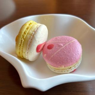 (Sheraton CLUB)