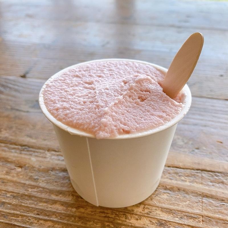 イチゴ（ジェラート）(アルトピアーノ )