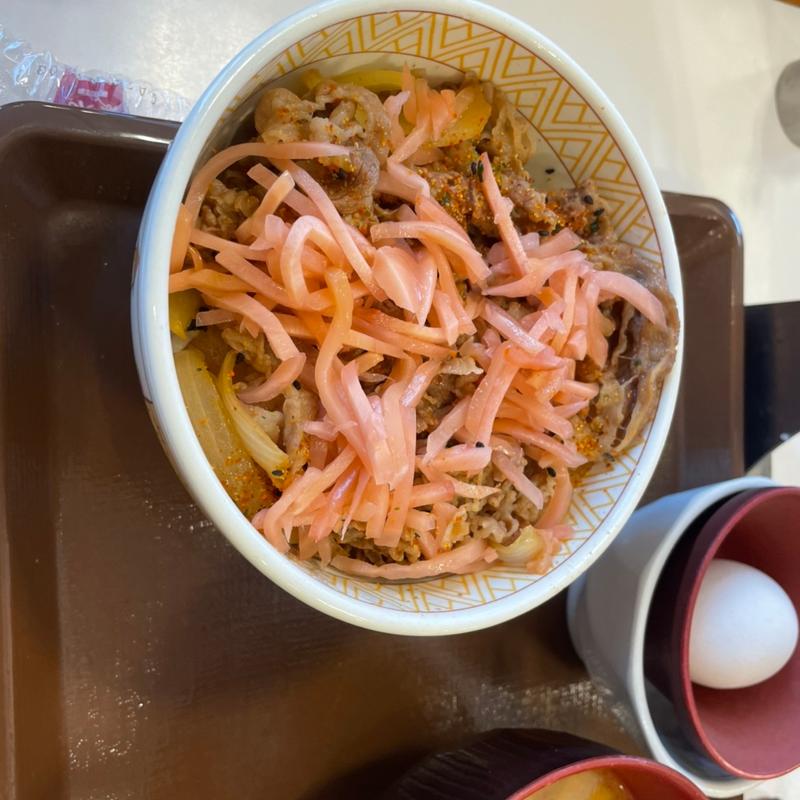 牛丼並(すき家 197号大分庄境店)