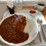 どんりゅう庵カレー(トマト味)